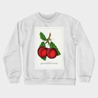 Abundance Plum Lithograph (1900) Crewneck Sweatshirt